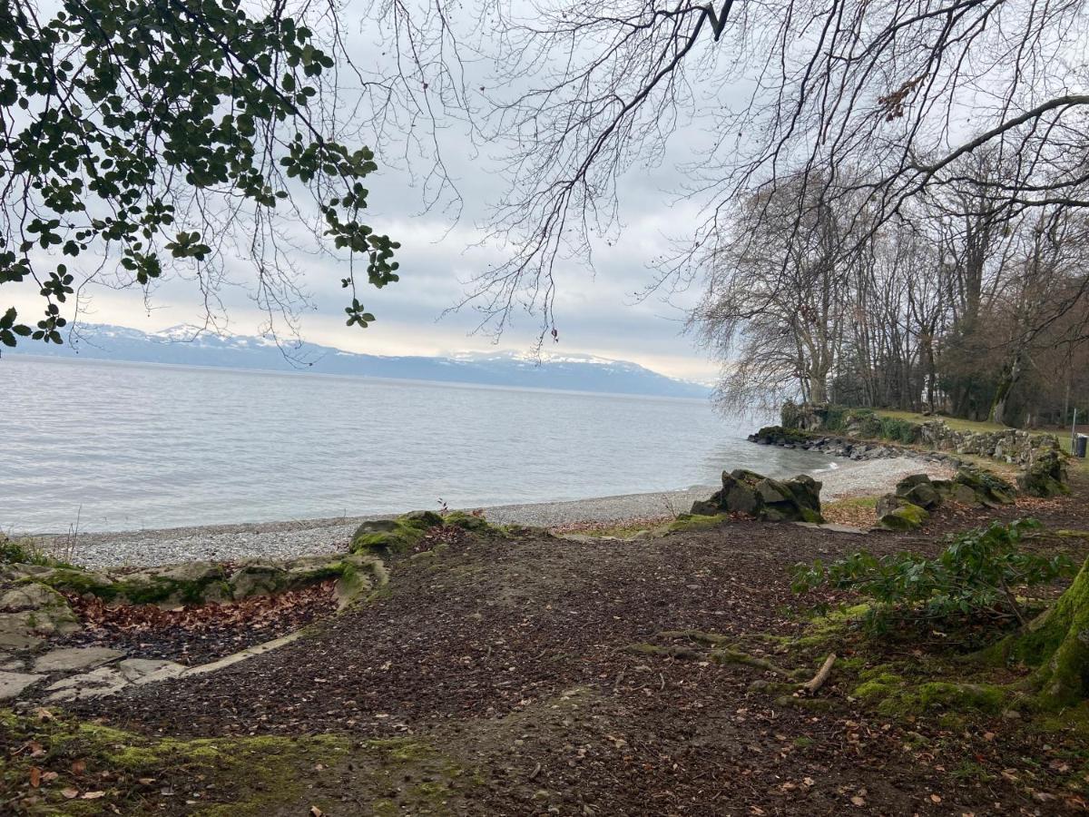 Bord De Lac,2 Chambres Superbe Vue Lac 5Mn Evian Lugrin Luaran gambar