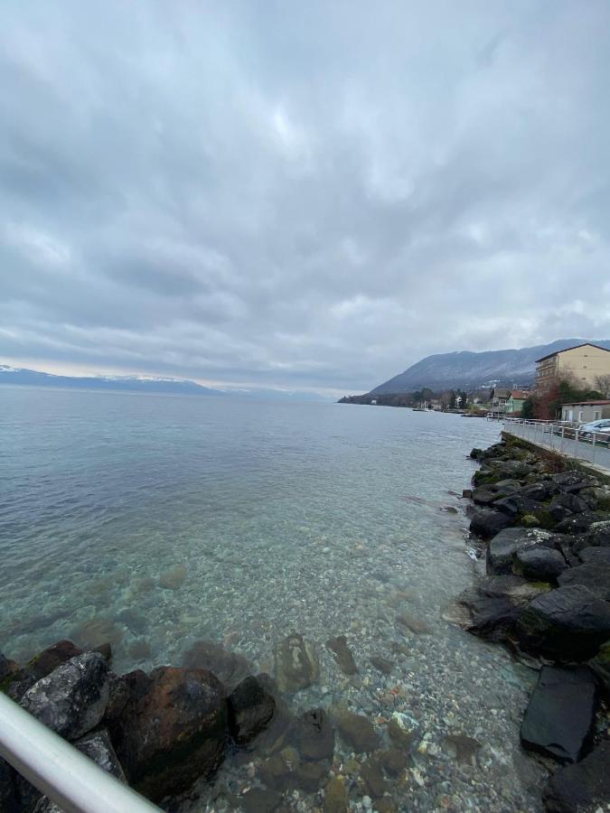 Bord De Lac,2 Chambres Superbe Vue Lac 5Mn Evian Lugrin Luaran gambar