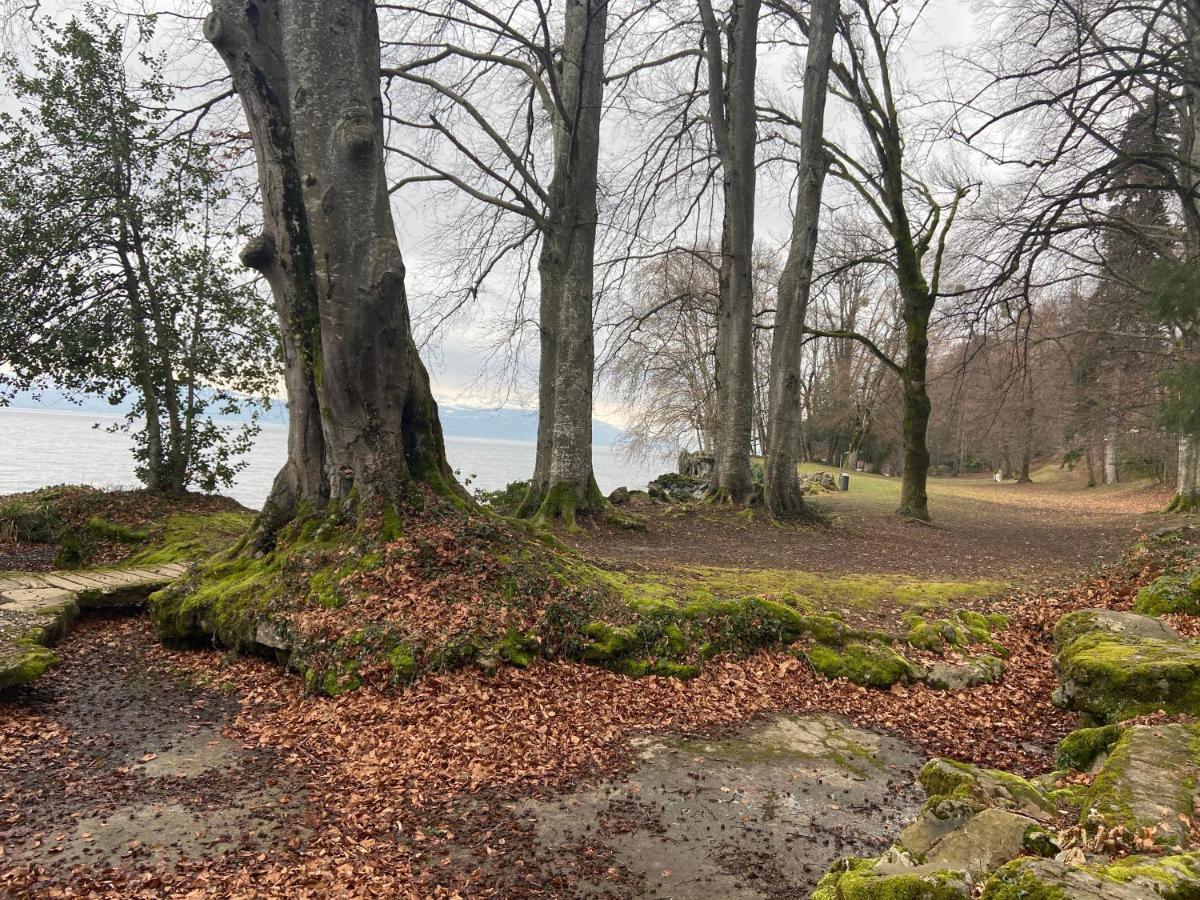Bord De Lac,2 Chambres Superbe Vue Lac 5Mn Evian Lugrin Luaran gambar